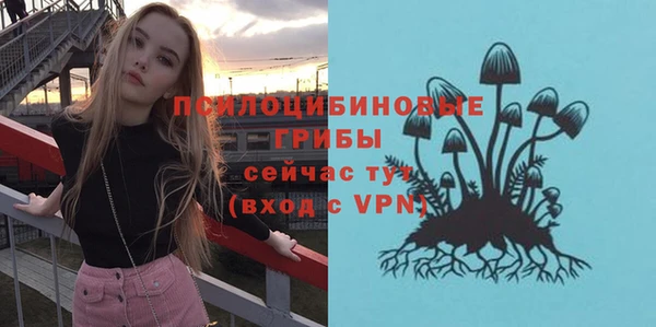 скорость mdpv Переславль-Залесский