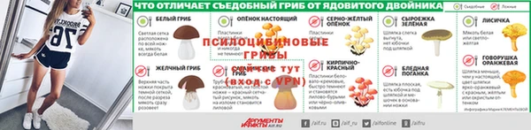 шишки Остров