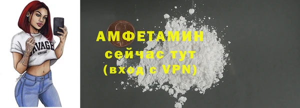 гашик Осташков