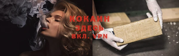 гашик Осташков