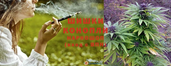 таблы Осинники