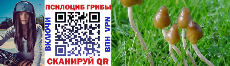 Псилоцибиновые грибы GOLDEN TEACHER  Ипатово 