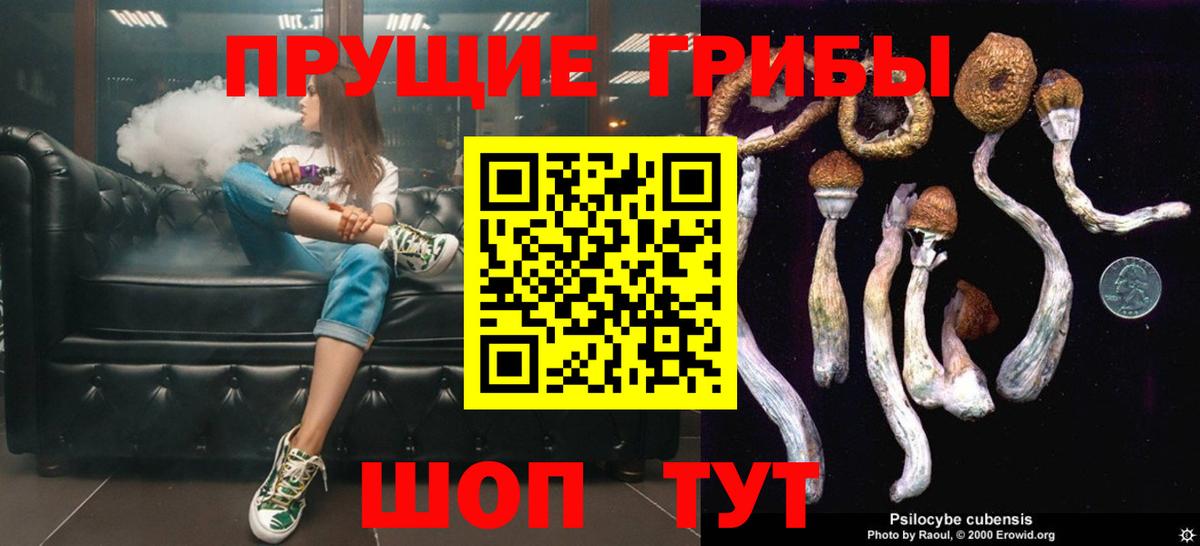 Ипатово  Псилоцибиновые грибы мицелий  Вход с VPN 